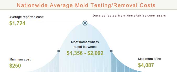 Mold Removal Cost