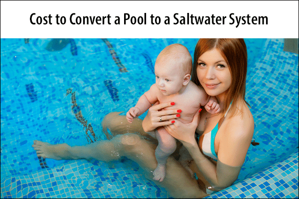 Cost to Convert to a Chlorine Generator