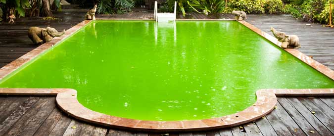 Green Pool Water