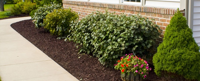 Mulched Flower Beds